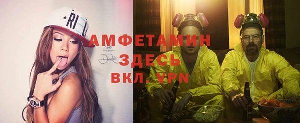 гидра Алексеевка