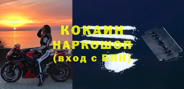 хмурый Алзамай