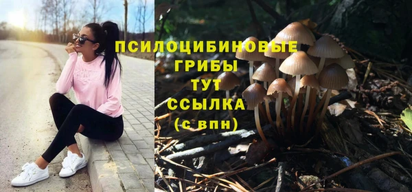 хмурый Алзамай