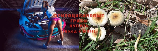 гидра Алексеевка