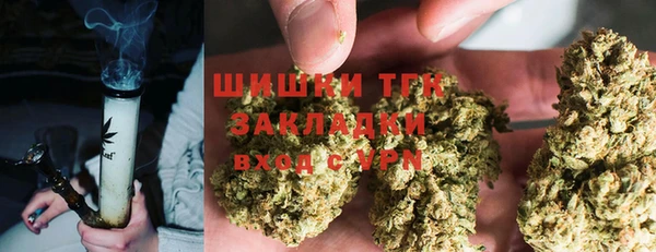 хмурый Алзамай