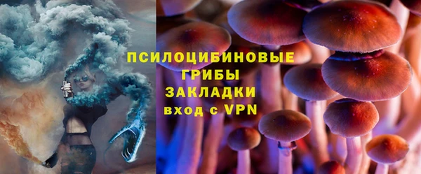 гидра Алексеевка