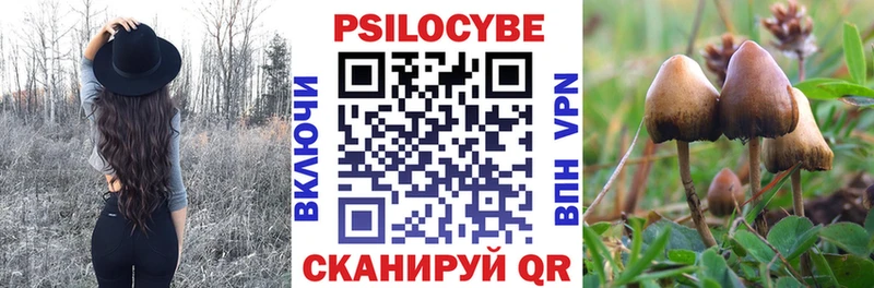 где можно купить Кимры Галлюциногенные грибы Psilocybine cubensis