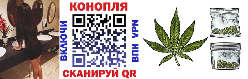 ссылка на мегу как зайти  Кимры  Бошки марихуана индика 